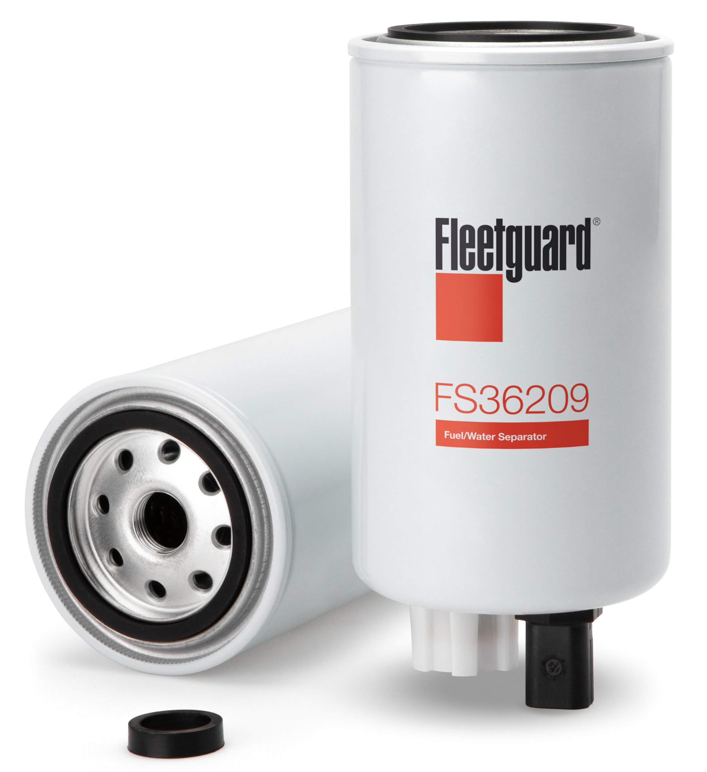 FS36209